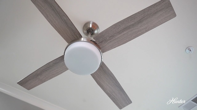 Hunter 44 inch Indoor Ceiling Fan with LED Light and Remote